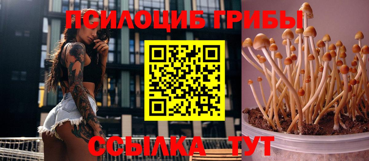 Псилоцибиновые грибы Psilocybe  Вход с VPN  Галлюциногенные грибы Magic Shrooms  Серпухов 