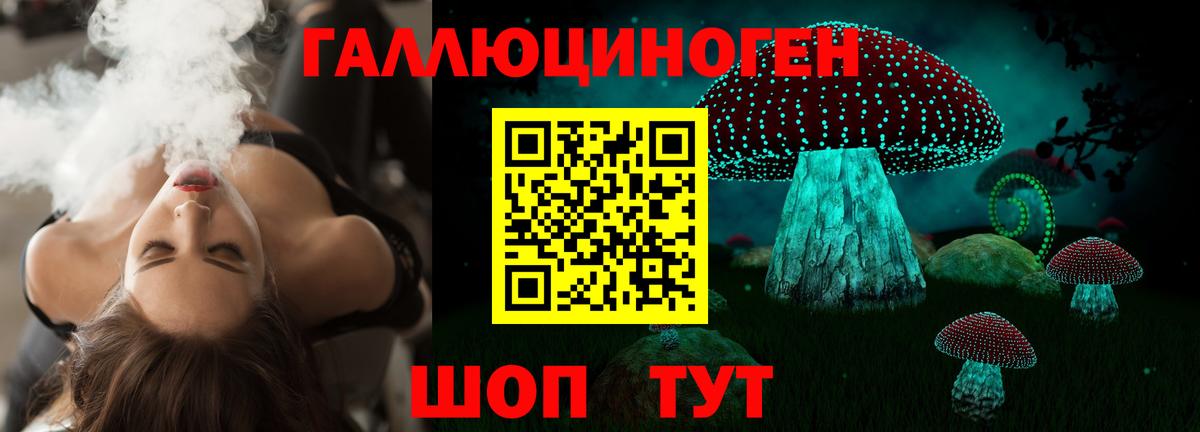 Псилоцибиновые грибы Psilocybe Серпухов